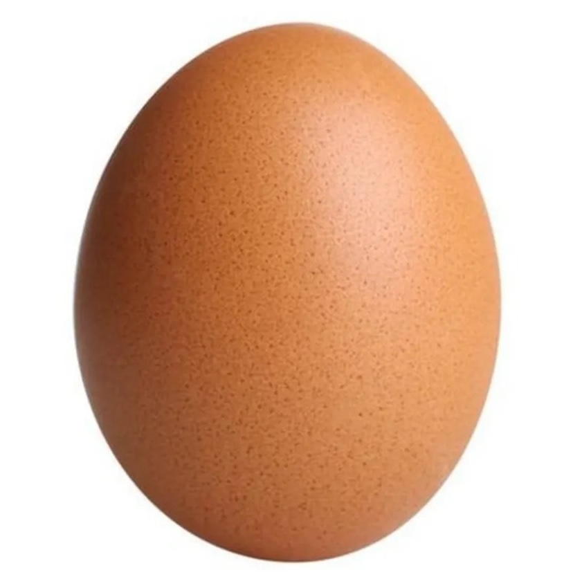 egg